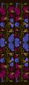 SCIARPA PARSIFAL DOUBLE FACE 100% LAMBSWOOL 70X200