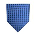 CRAVATTA BISHOP 100% SETA STAMPA