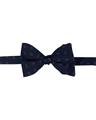 PAPILLON 100%SETA