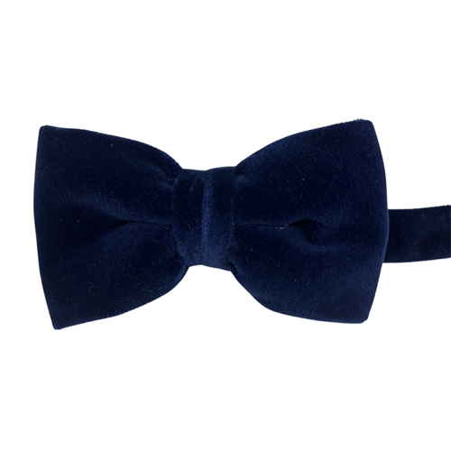 PAPILLON VELLUTO 100%COTONE